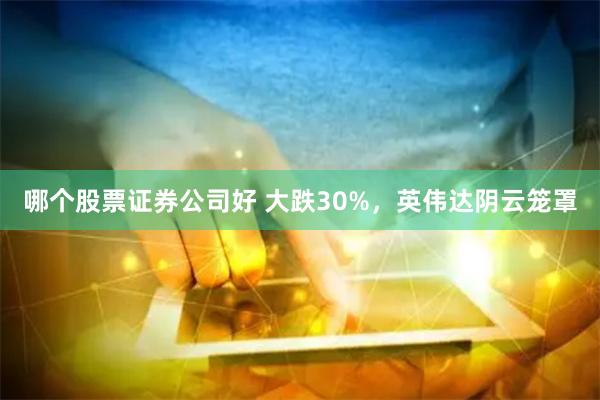 哪个股票证券公司好 大跌30%，英伟达阴云笼罩