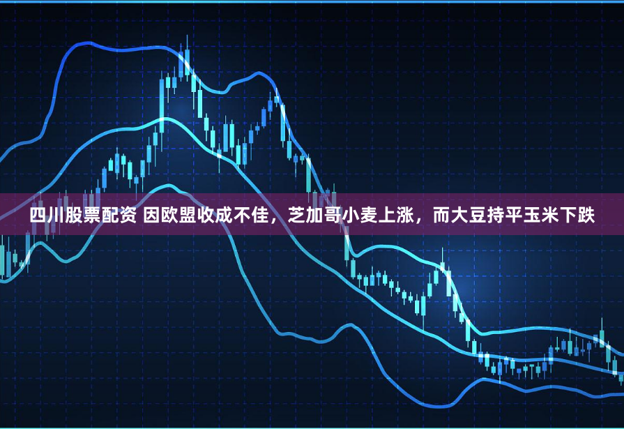 四川股票配资 因欧盟收成不佳，芝加哥小麦上涨，而大豆持平玉米下跌