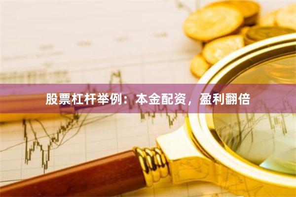 股票杠杆举例:本金配资,盈利翻倍