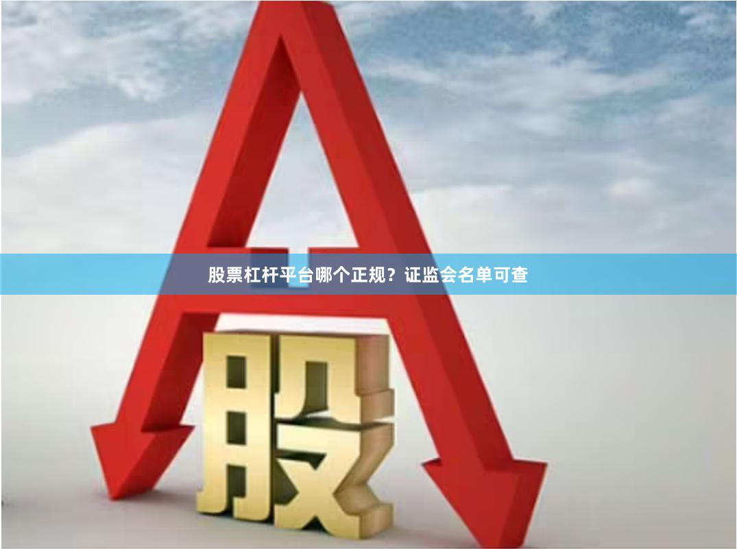 股票杠杆平台哪个正规？证监会名单可查